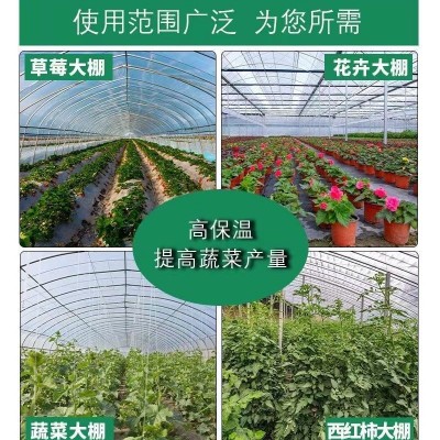 加厚大棚膜PO膜消雾抗老化无滴膜保温防风蔬菜农用养殖塑料纸图3