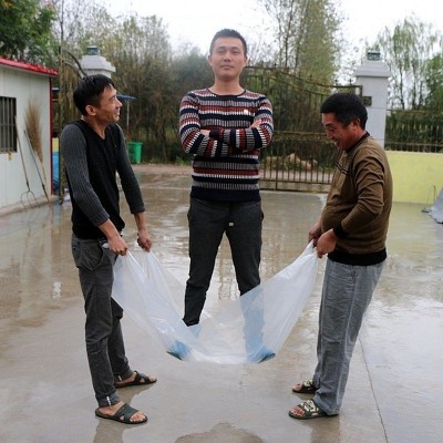 大棚膜批发加厚塑料薄塑料布透明防水防雨家用遮盖养殖防尘整卷图2