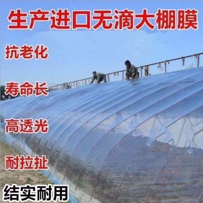 大棚膜生产批发抗老化无滴膜PO膜养殖茵种植黑白膜遮光塑料布薄膜图2