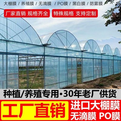 大棚膜生产批发抗老化无滴膜PO膜养殖茵种植黑白膜遮光塑料布薄膜图3