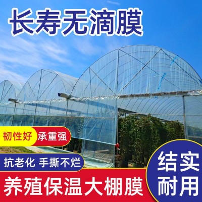 塑料布保温家用大棚膜无滴膜PO膜消薄膜透明加厚种植塑料膜黑白膜图2