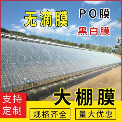塑料布保温家用无滴膜加厚透明塑料薄膜温室蔬菜棚膜大棚塑料薄膜图2