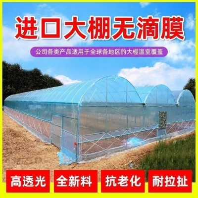 防风膜大棚塑料膜无滴抗老化透明加厚五层共挤po消雾保温厂家直销图5