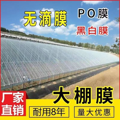 防风膜大棚塑料膜无滴抗老化透明加厚五层共挤po消雾保温厂家直销图2