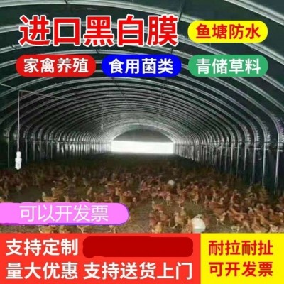 大棚膜生产批发养殖大棚黑白膜隔热膜降温茂新料食用菌棚膜抗老化图2