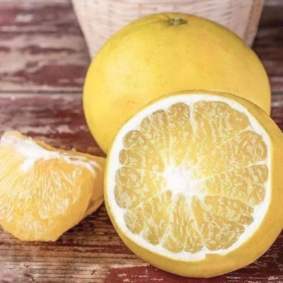 黄金葡萄柚新鲜水果葡萄柚柚子黄肉柚水果葡萄柚一件代发图4