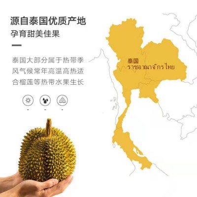 榴莲泰舍东部金枕冷冻正树熟肉速冻A级果无壳水果一件代发速卖通图3