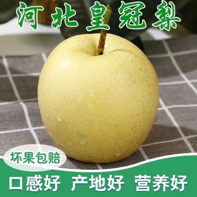 皇冠梨图3