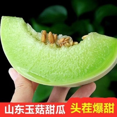 玉菇甜瓜现摘蜜瓜香瓜新鲜应季水果整箱批发2-10斤非哈密瓜羊角蜜图3