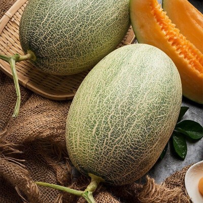 哈密瓜新疆吐鲁番西州蜜新鲜应当季水果脆甜多汁网纹瓜现货网红图4