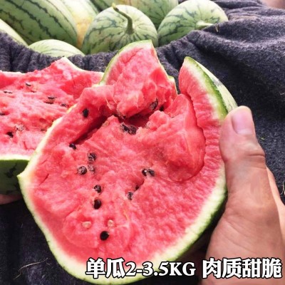 各种西瓜种子麒麟西瓜种籽无籽瓜黑美人种孑大全南方四季春季阳台图2