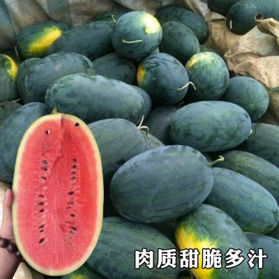 各种西瓜种子麒麟西瓜种籽无籽瓜黑美人种孑大全南方四季春季阳台图3
