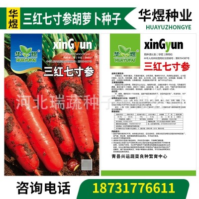 华煜三红七寸参胡萝卜种子厂家批发西洋三红参红萝卜种籽菜园蔬菜图2