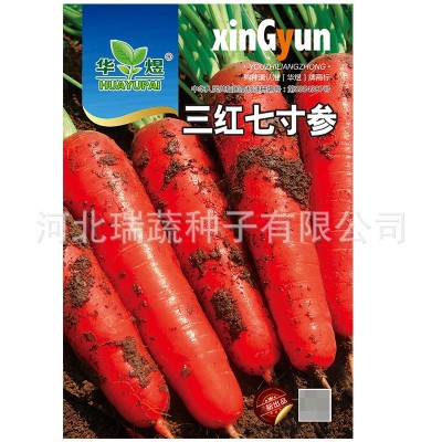 华煜三红七寸参胡萝卜种子厂家批发西洋三红参红萝卜种籽菜园蔬菜图5