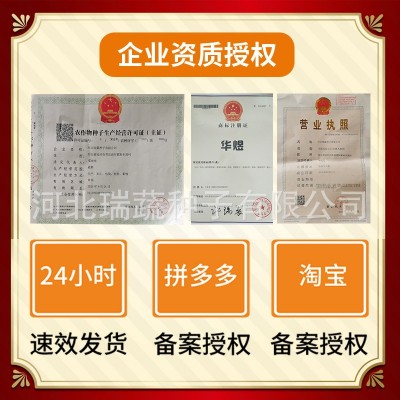 华煜8898线椒种子厂家批发干鲜两用细线椒辣椒种籽菜园蔬菜种孑图3
