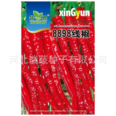 华煜8898线椒种子厂家批发干鲜两用细线椒辣椒种籽菜园蔬菜种孑图4