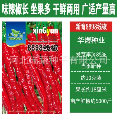 华煜8898线椒种子厂家批发干鲜两用细线椒辣椒种籽菜园蔬菜种孑图5