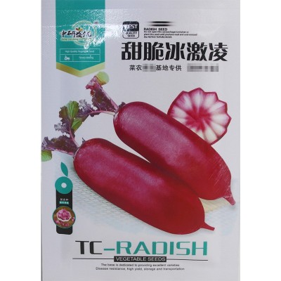 盛优甜脆冰淇淋萝卜种子 菜园农家甜脆凤梨红皮红心萝卜籽 夏秋播图5