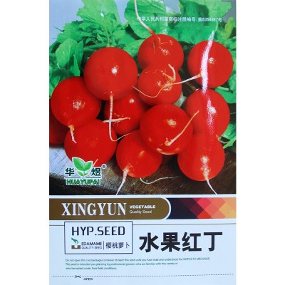 华煜水果红丁萝卜种子速生皮薄鲜红白肉脆嫩樱桃萝卜种籽厂家批发图4