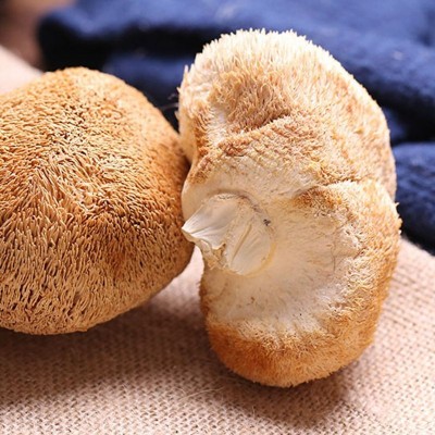 新货古田猴头菇干货散装批发产地发货猴头菇500g食用菌批发图2