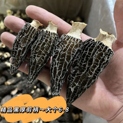 羊肚菌各等级干货批发 食用野生菌产地厂家基地大量供应500克图2