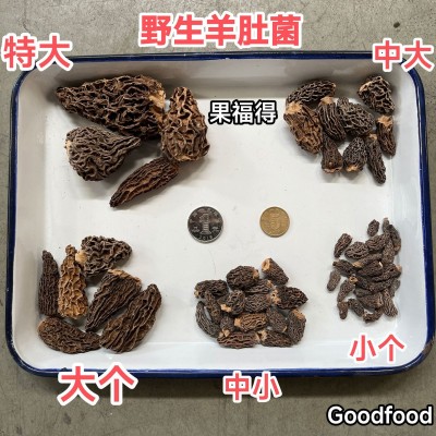 羊肚菌各等级干货批发 食用野生菌产地厂家基地大量供应500克图4