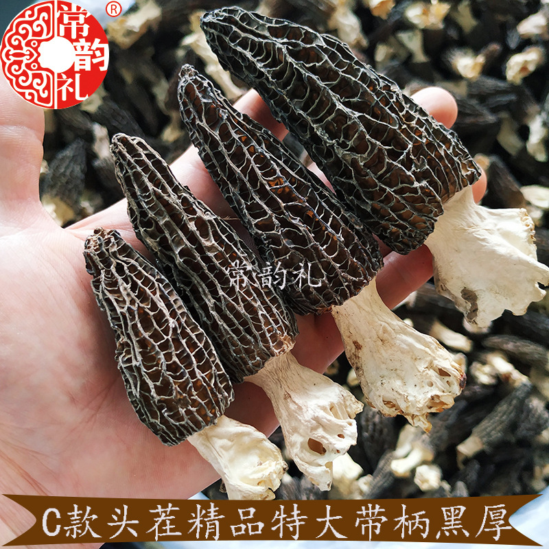 精品大号厚肉黑.jpg