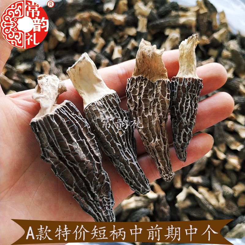 短柄中个中前期.jpg
