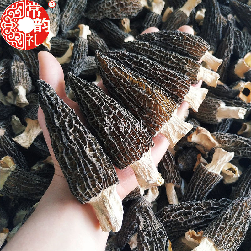 精品大号剪柄黑特厚5.jpg