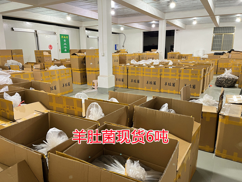 羊肚菌仓库.jpg