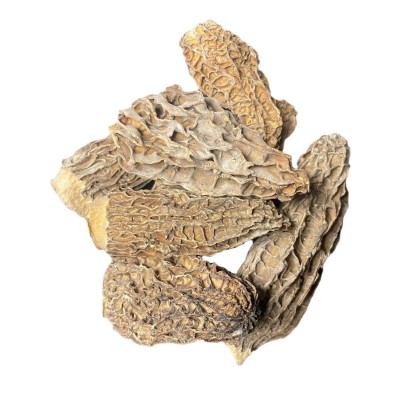 云南野生羊肚菌新货批发煲汤滋养补身食材 野生剪脚羊肚菌图4