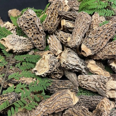 云南野生羊肚菌新货批发煲汤滋养补身食材 野生剪脚羊肚菌图3
