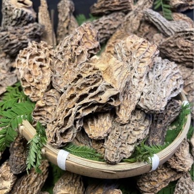 云南野生羊肚菌新货批发煲汤滋养补身食材 野生剪脚羊肚菌图2