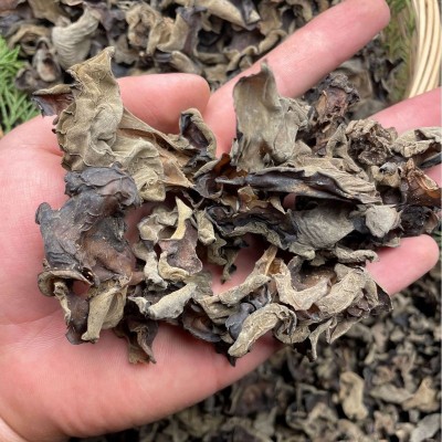云南野生木耳干货农家土特产现货批发椴木野生木耳 食用菌图4