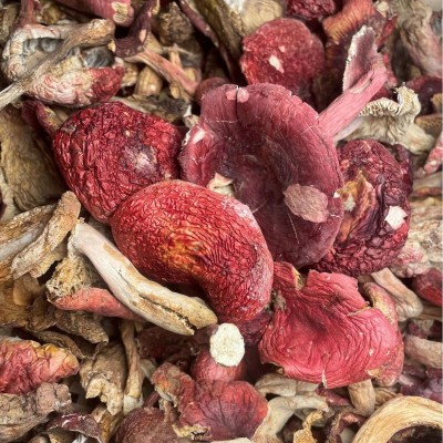 云南特产野生菌沸红菌假红菇统货批发 味道不一 咨询下单图2