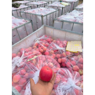 静宁红富士小苹果新鲜苹果丑苹果水果批发水果一件代发图2