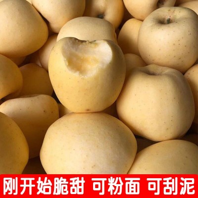 一件代发 山东维纳斯黄金苹果3斤新鲜水果当季整箱非奶油富士苹果图2