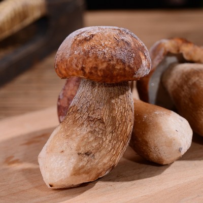 云南特产速冻鲜美牛肝菌可清炒涮火锅煲汤美味食材现货批发图4