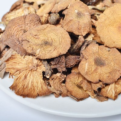 榛蘑东北野生菌菇干货小鸡炖蘑菇产地直发 野生榛蘑图3