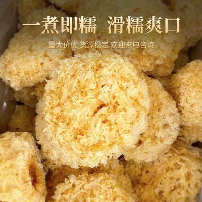 【原产地直发】古田银耳干货食用菌丑耳本草白木耳批发软糯出胶好图2