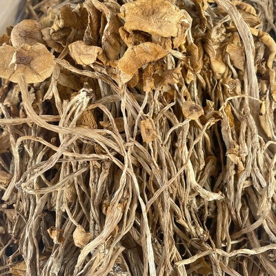 新货茶树菇干货不开伞500g菌菇古田茶树菌食用干菇食材香菇蘑菇图3