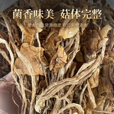 新货茶树菇干货不开伞500g菌菇古田茶树菌食用干菇食材香菇蘑菇图2