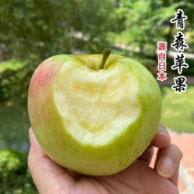 礼盒装山东青岛宝山青森明月水蜜桃苹果现摘现发新鲜直达图2