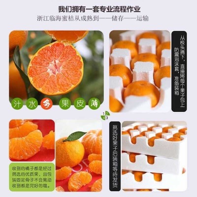 临海涌泉蜜桔新鲜橘子薄皮当季水果蜜橘浙江桔子代发图4