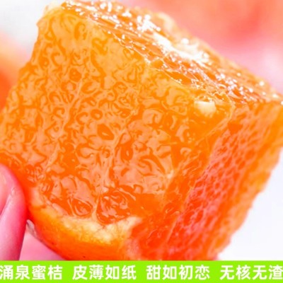 临海涌泉蜜桔新鲜橘子薄皮当季水果蜜橘浙江桔子代发图2