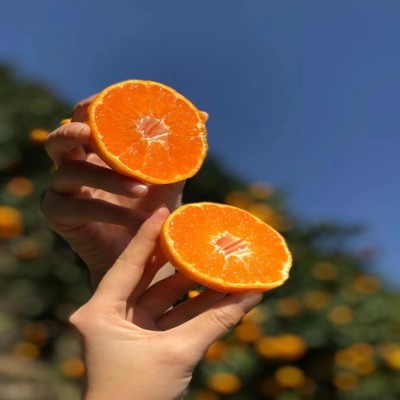 临海涌泉蜜桔新鲜橘子10斤高山当季水果整箱台州黄岩蜜橘无核薄皮图1