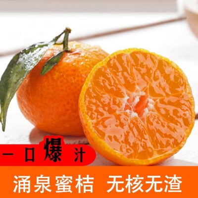 临海涌泉蜜桔新鲜橘子10斤高山当季水果整箱台州黄岩蜜橘无核薄皮图2