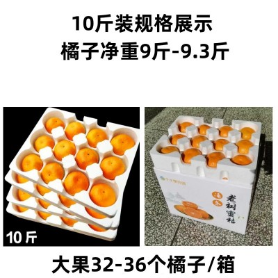 临海涌泉蜜桔新鲜橘子10斤高山当季水果整箱台州黄岩蜜橘无核薄皮图5