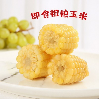 香糯白玉米真空即食包装甜新鲜糯玉米棒子代餐粘玉米电商一件代发图2