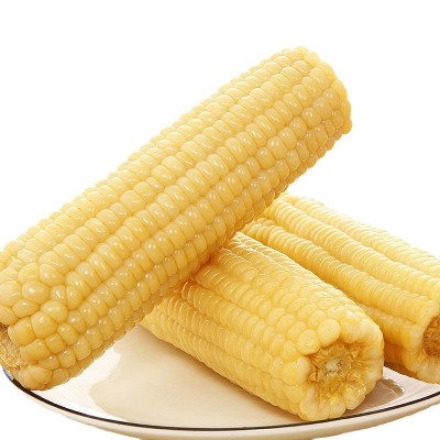 香糯白玉米真空即食包装甜新鲜糯玉米棒子代餐粘玉米电商一件代发图5